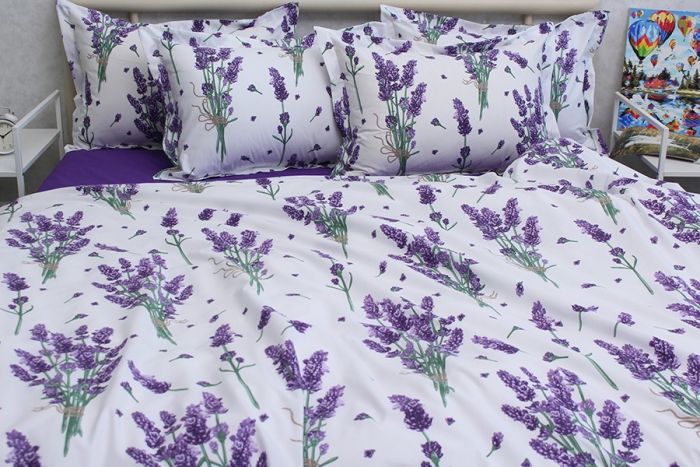 Комплект постільної білизни двоспальний Ранфорс R-T9268