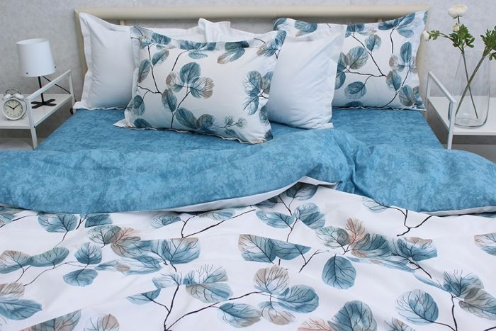 Комплект постільної білизни двоспальний Ранфорс R-T9269