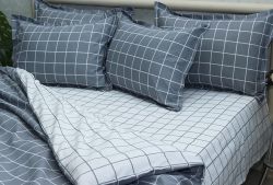 Комплект постільної білизни євро Ранфорс R-T9265