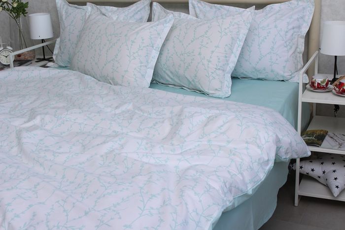 Комплект постільної білизни наволочки 50*70см TURKISH COTTON PT-R17