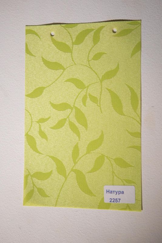 Римські штори з ланцюжковим карнизом Натура салатовий